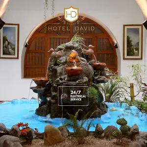 https://hotel-david.hotelsquito.com